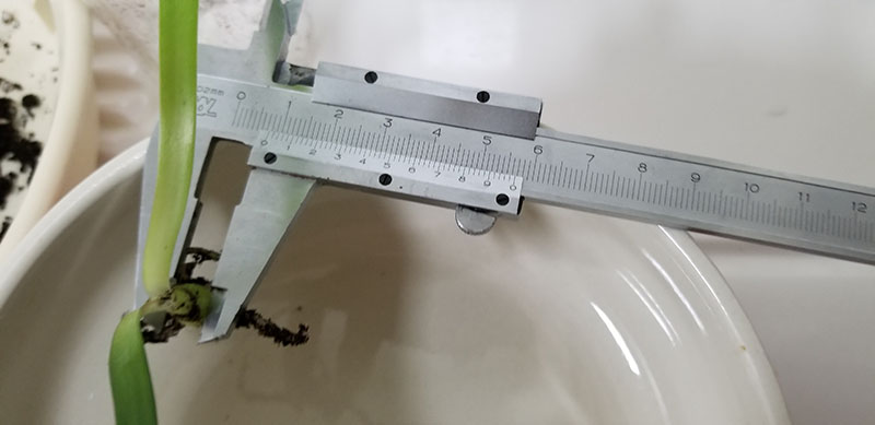 20190924_202812.jpg